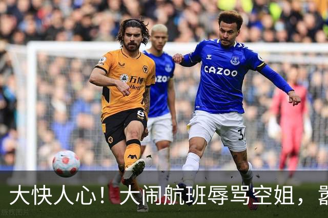 大快人心！大闹航班辱骂空姐，嚣张乘客终于付出代价