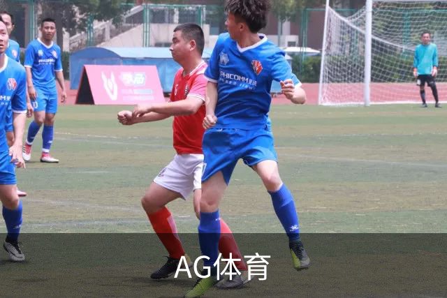 AG体育公司介绍图